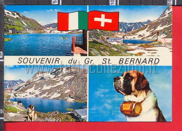 Collezionismo di cartoline postali di animali